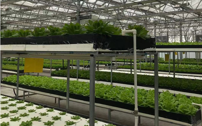 122cc太阳集成游戏(中国)有限公司官网